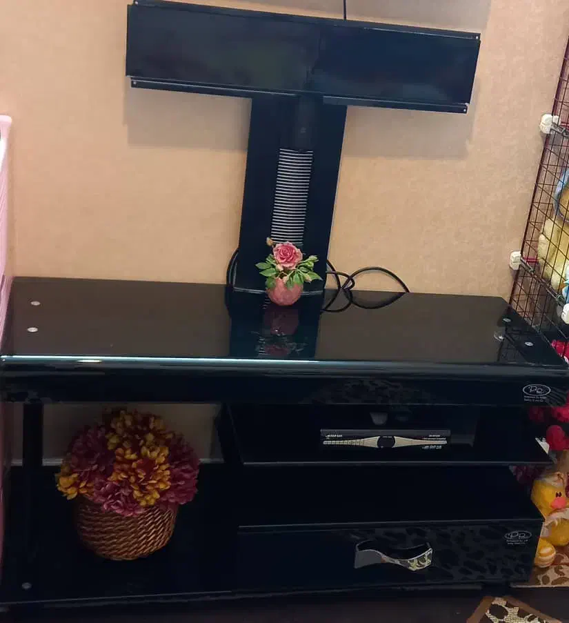 فروش دو عدد زیر تلویزیونی|میز تلویزیون|شیراز, نصر|دیوار