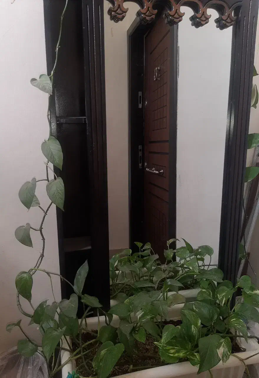 آینه قدی نو|آینه|قزوین, |دیوار