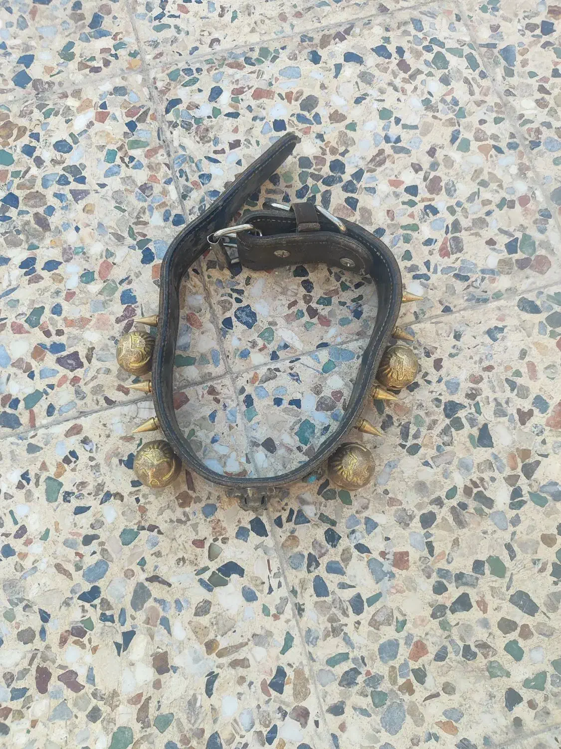 قلاده چرم گاومیش|لوازم جانبی حیوانات|مبارکه, |دیوار