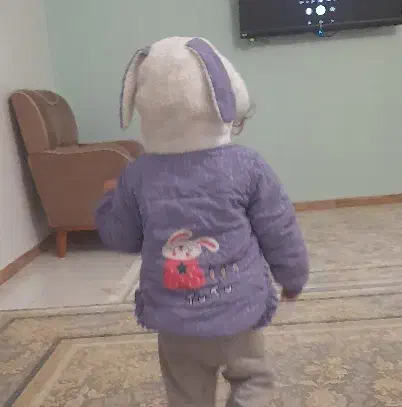 کاپشن بچگانه|کفش و لباس بچه|شهریار, شهرک امیریه|دیوار