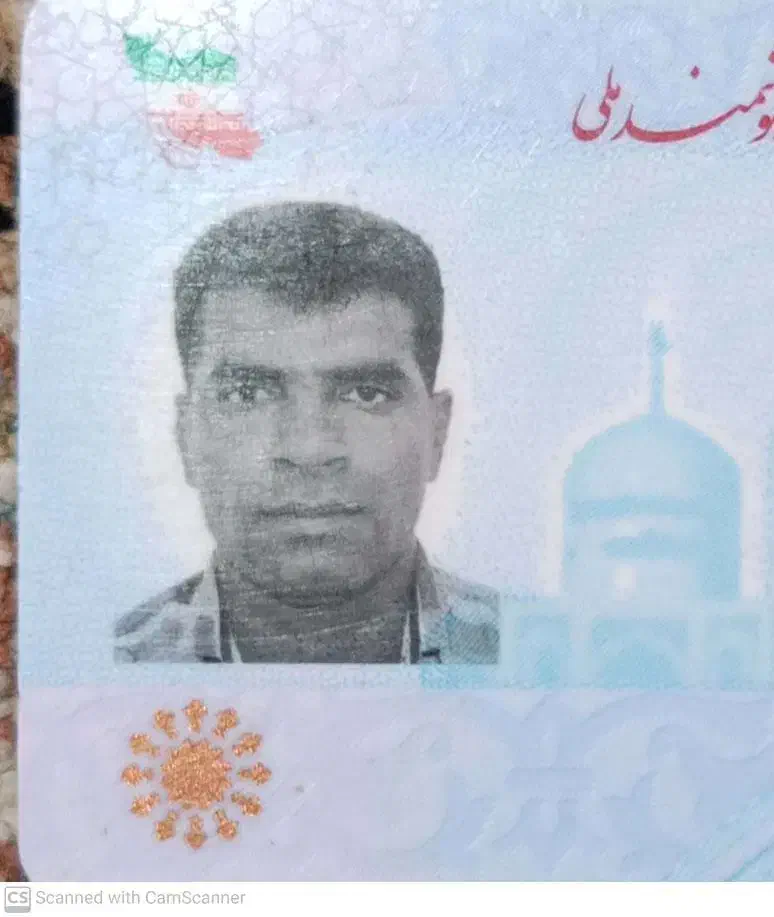 گم شدن مدارک|اشیا|فومن, |دیوار