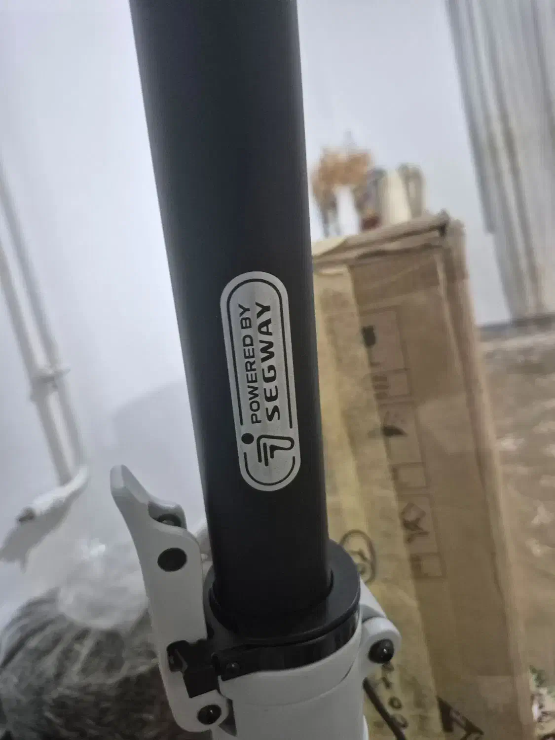 اسکوتر ناین بات|دوچرخه، اسکیت، اسکوتر|کرمانشاه, |دیوار