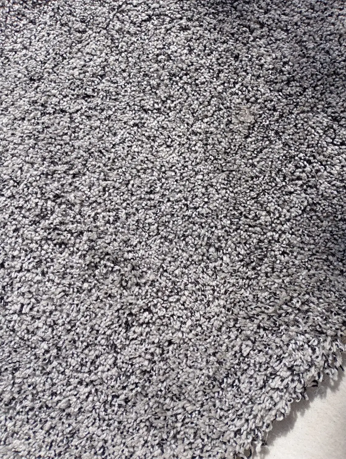 پالاز موکت طوسی|موکت|تویسرکان, |دیوار