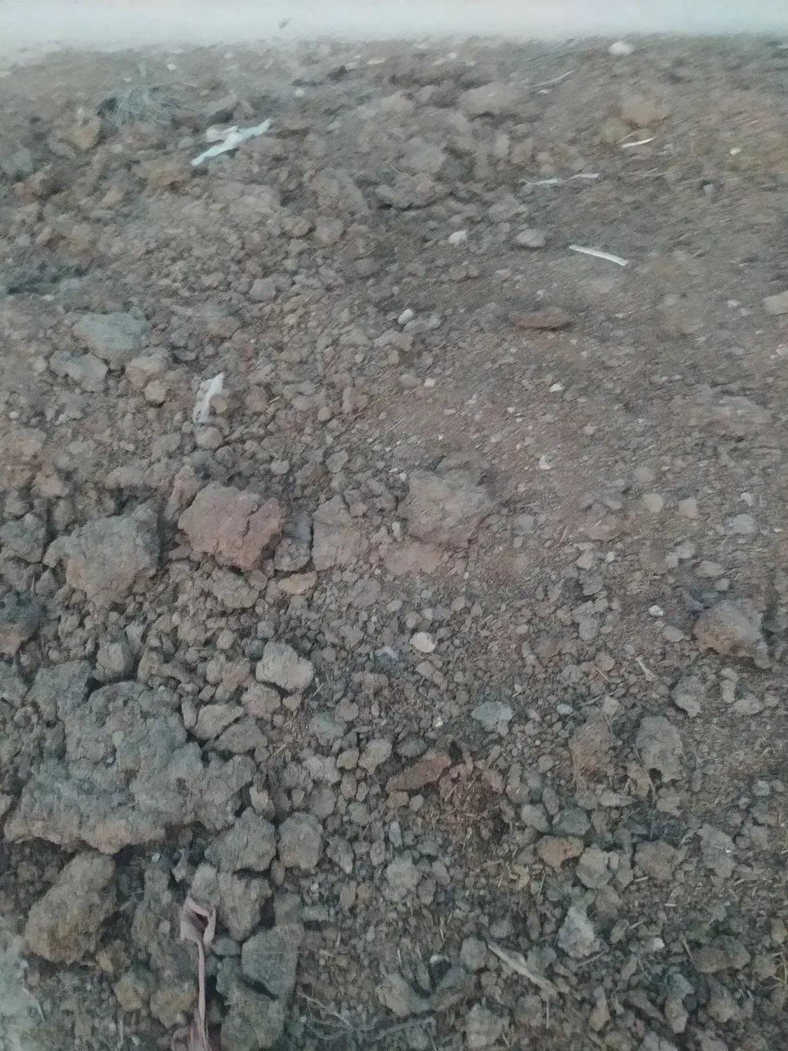 کود گاوی|لوازم جانبی حیوانات|اهرم, |دیوار