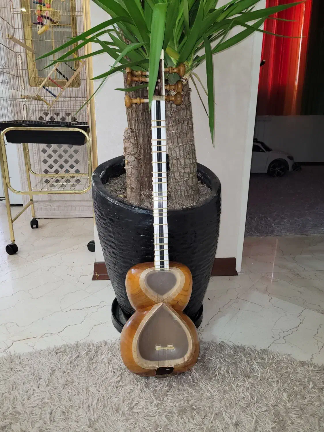 تار سنتی|سازهای سنتی|تهران, ابوذر|دیوار