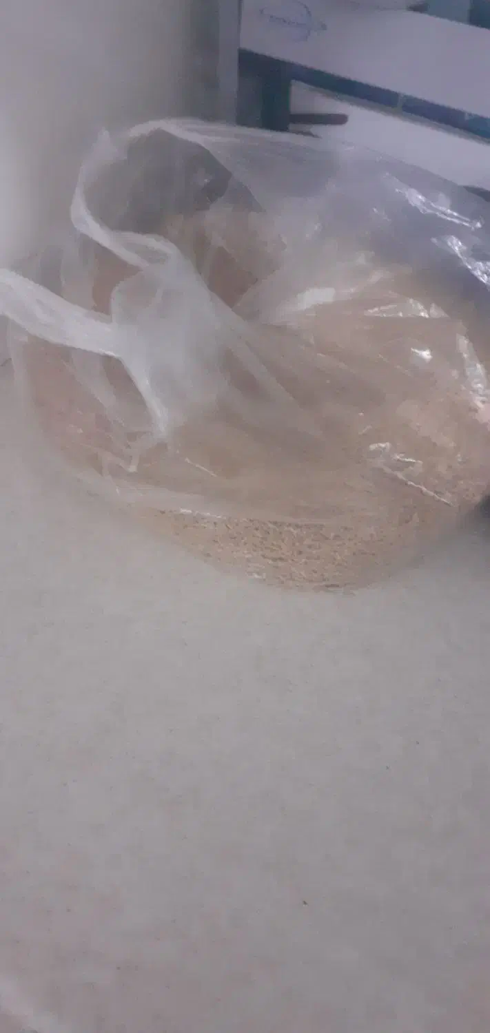 جوجه کبوتر قرمزگم کردم امروزطرف النی|پرنده|مشگین شهر, |دیوار