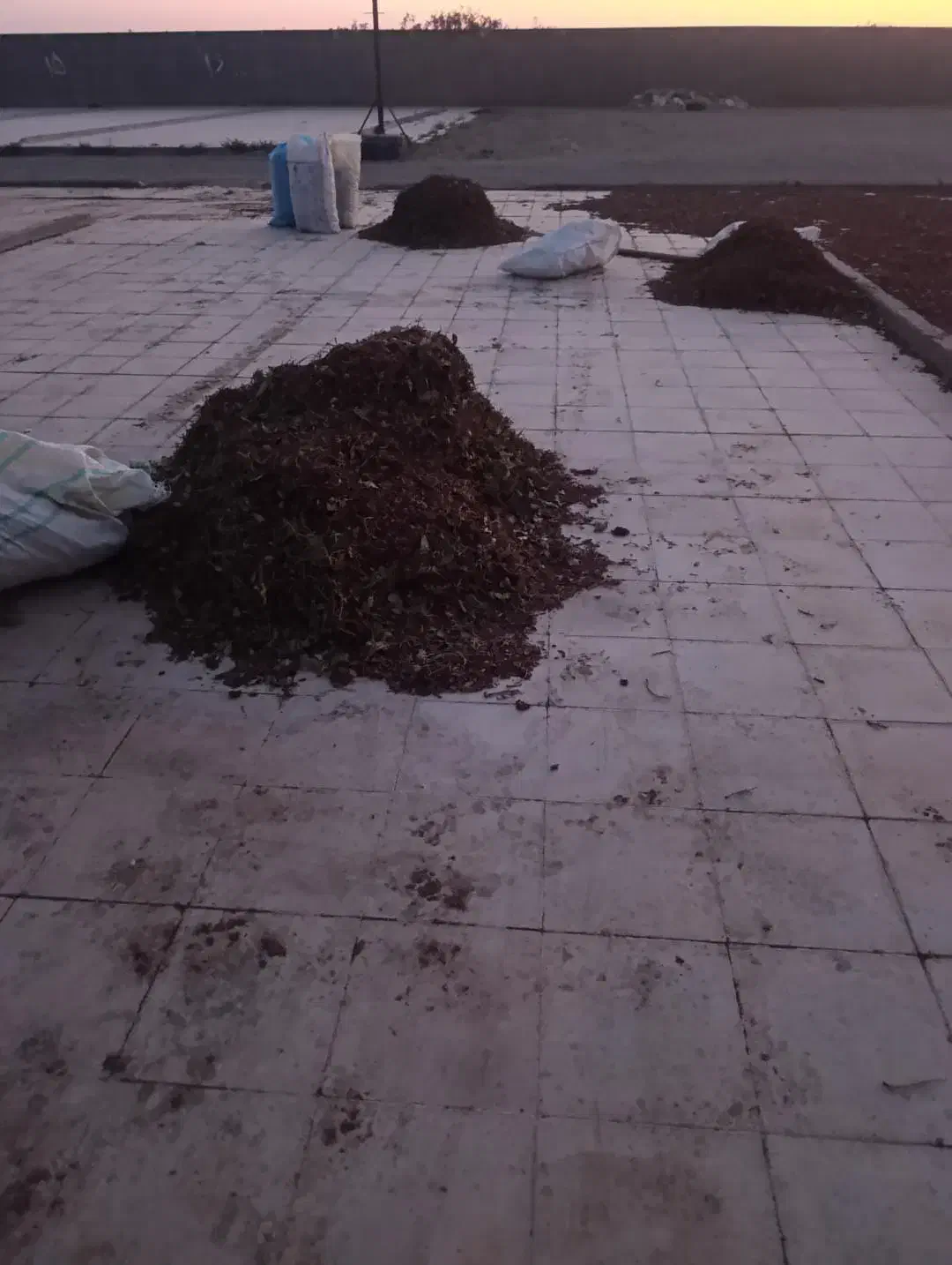 پوست پسته خراک دام|حیوانات مزرعه|بردسکن, |دیوار