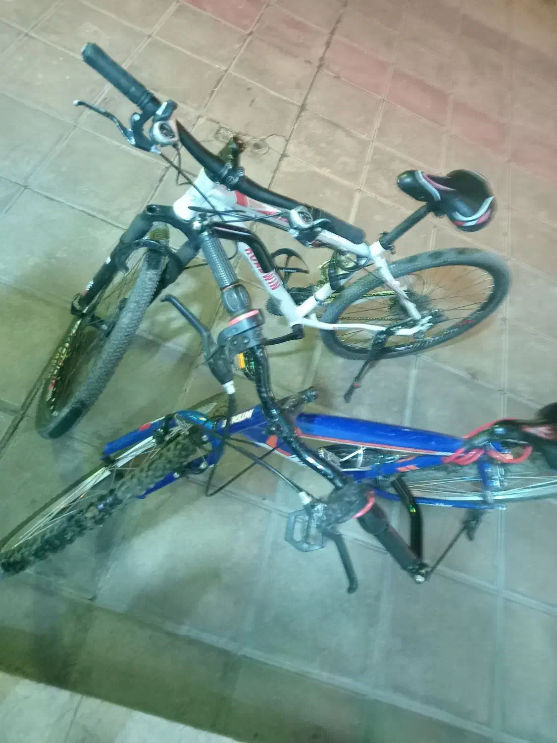 دو چرخه|دوچرخه، اسکیت، اسکوتر|یزد, |دیوار