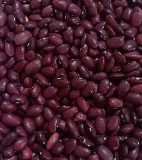 لوبیا قرمز|خوردنی و آشامیدنی|دهگلان, |دیوار