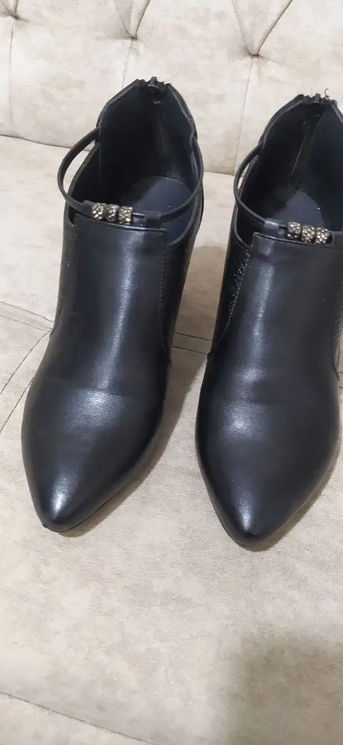 بدلیجات رنگ ثابت|کیف، کفش، کمربند|آذرشهر, |دیوار