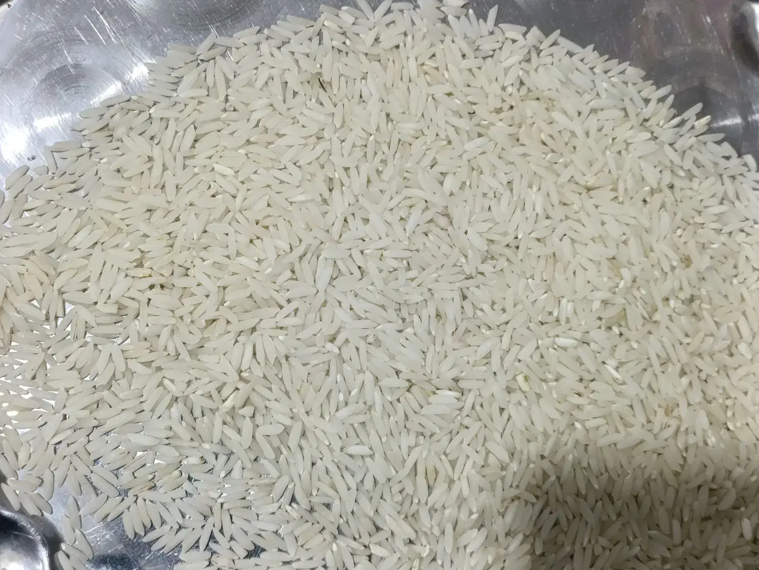 برنج هاشمی|خوردنی و آشامیدنی|سنگر, |دیوار