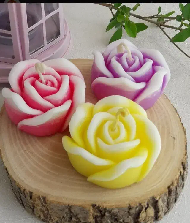 شمع گل رز|صنایع دستی و سایر لوازم تزئینی|یزد, |دیوار