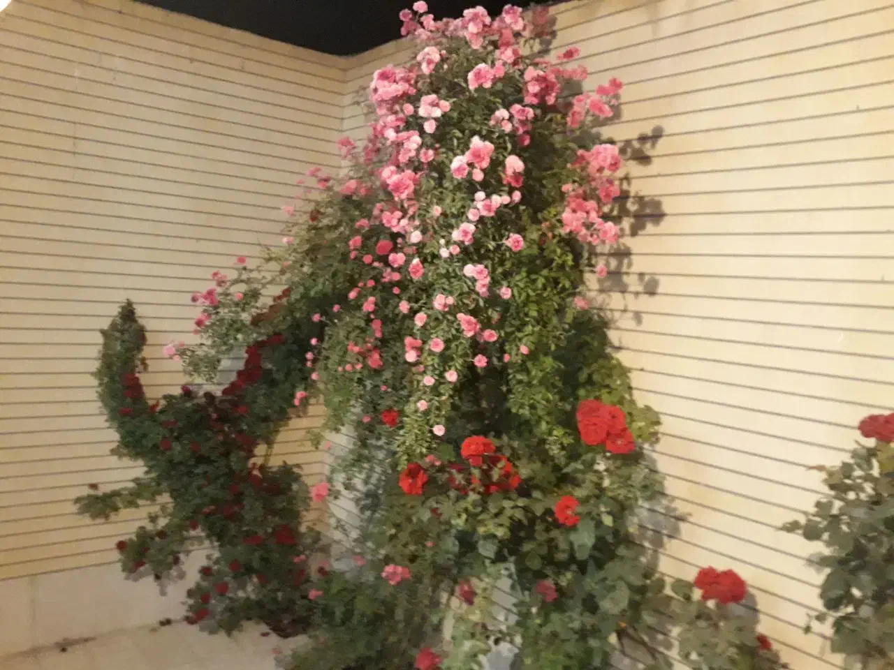 ۱۰۰متر آپارتمان مستقل راه جداگانه درحد صفر اهر|فروش آپارتمان|اهر, |دیوار