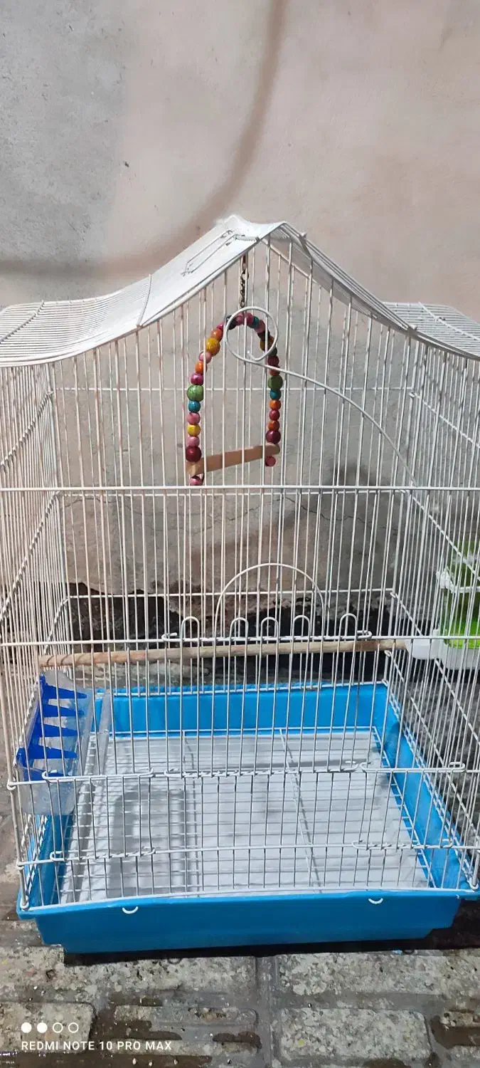 قفس پرنده بزرگ|لوازم جانبی حیوانات|پاکدشت, پاکدشت (مامازند)|دیوار