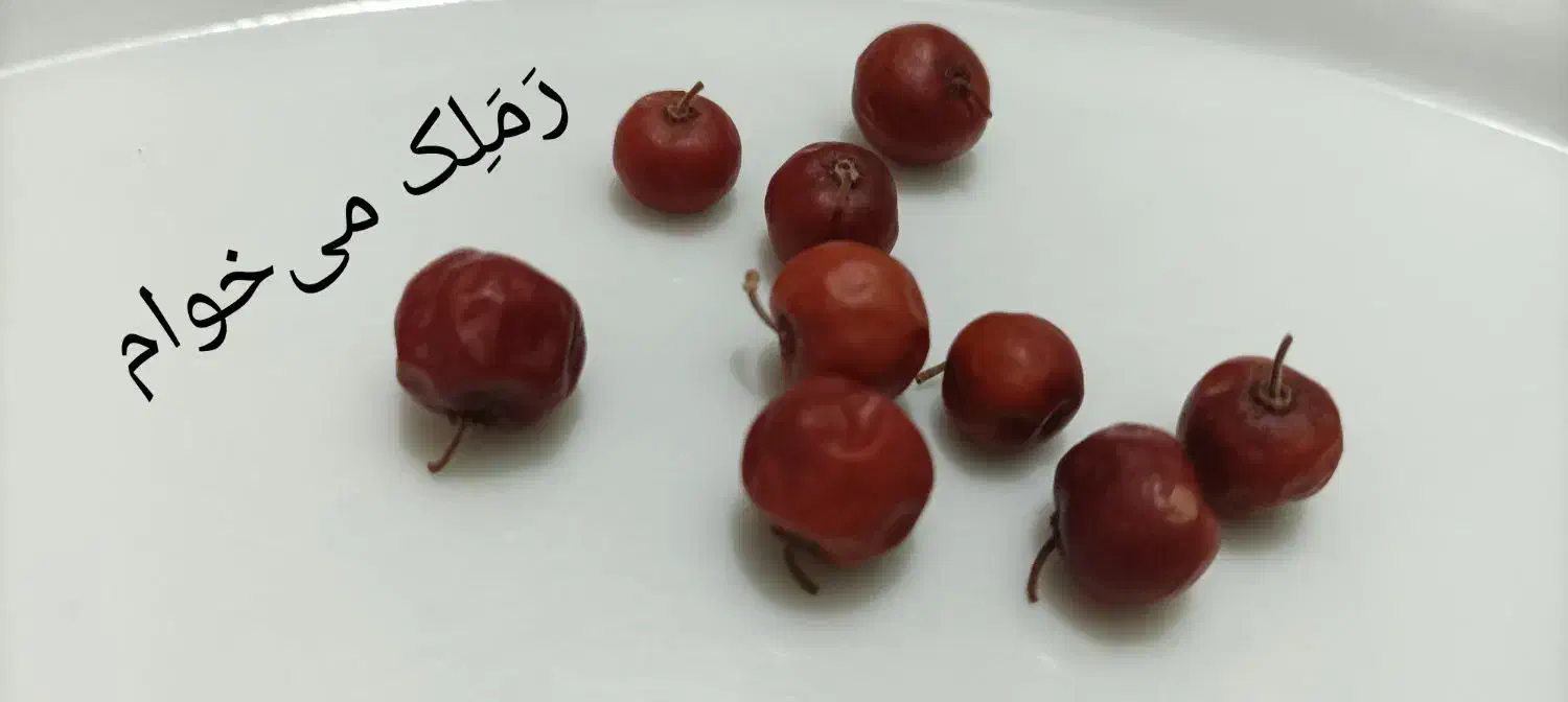 رملک می‌خوام|فعالیت داوطلبانه|یاسوج, |دیوار