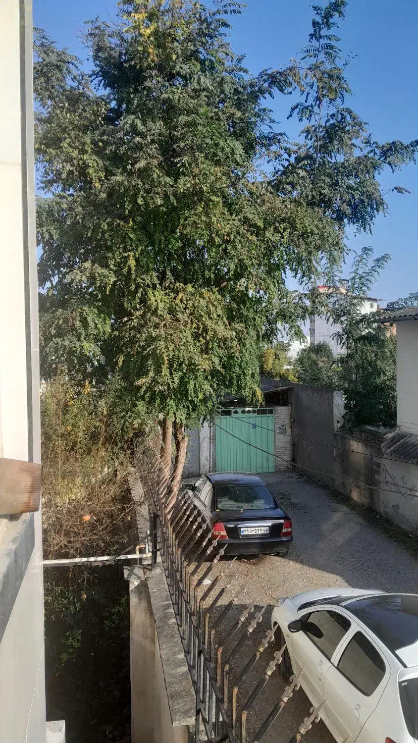 فروش چوب ...نیازمند خریدار با دستگاه برای قطع درخت|مصالح و تجهیزات ساختمان|قائم‌شهر, |دیوار