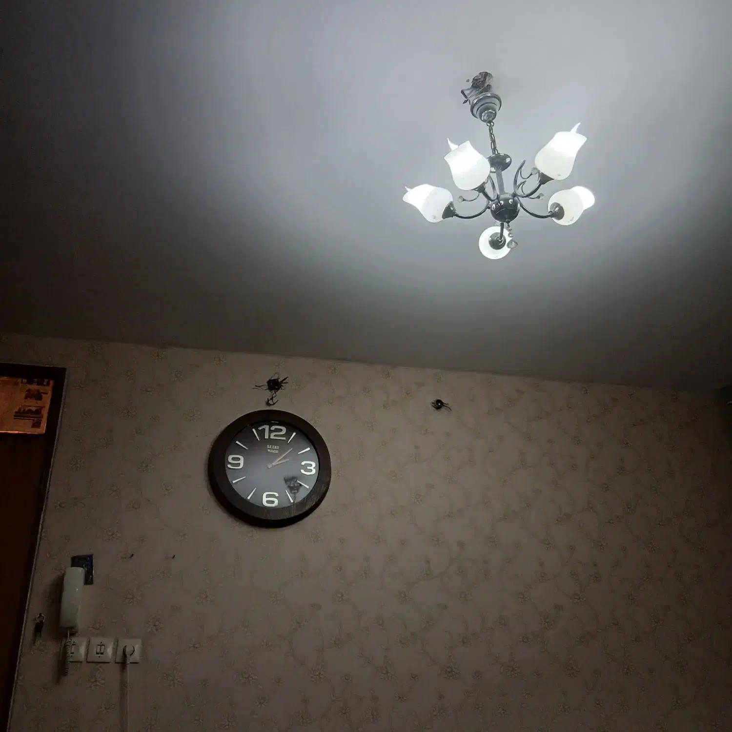 اجاره خونه|اجارهٔ آپارتمان|قوچان, |دیوار