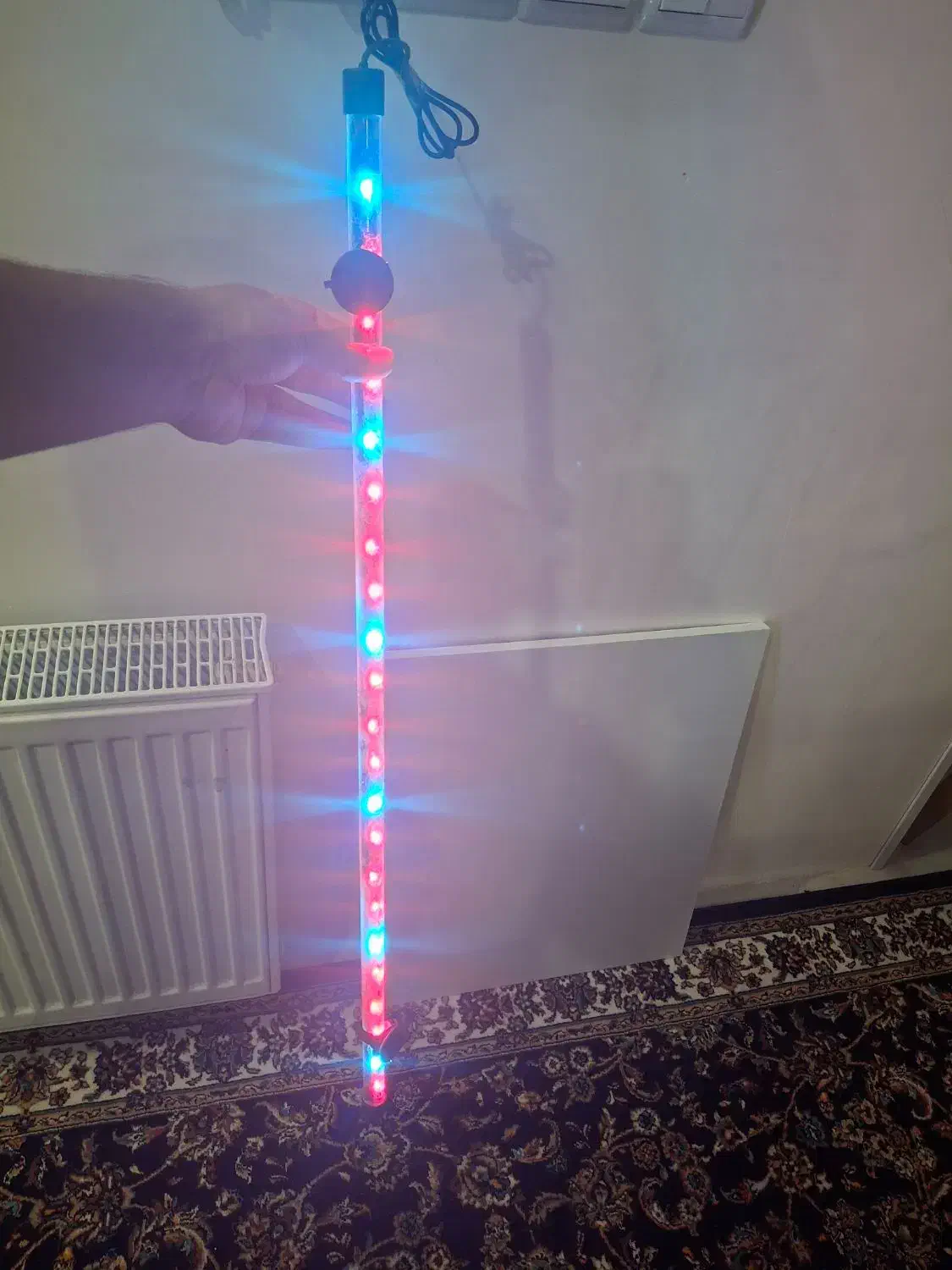 اکواریوم بزرگ و انواع لوازم درحدنو|ماهی|بیرجند, |دیوار