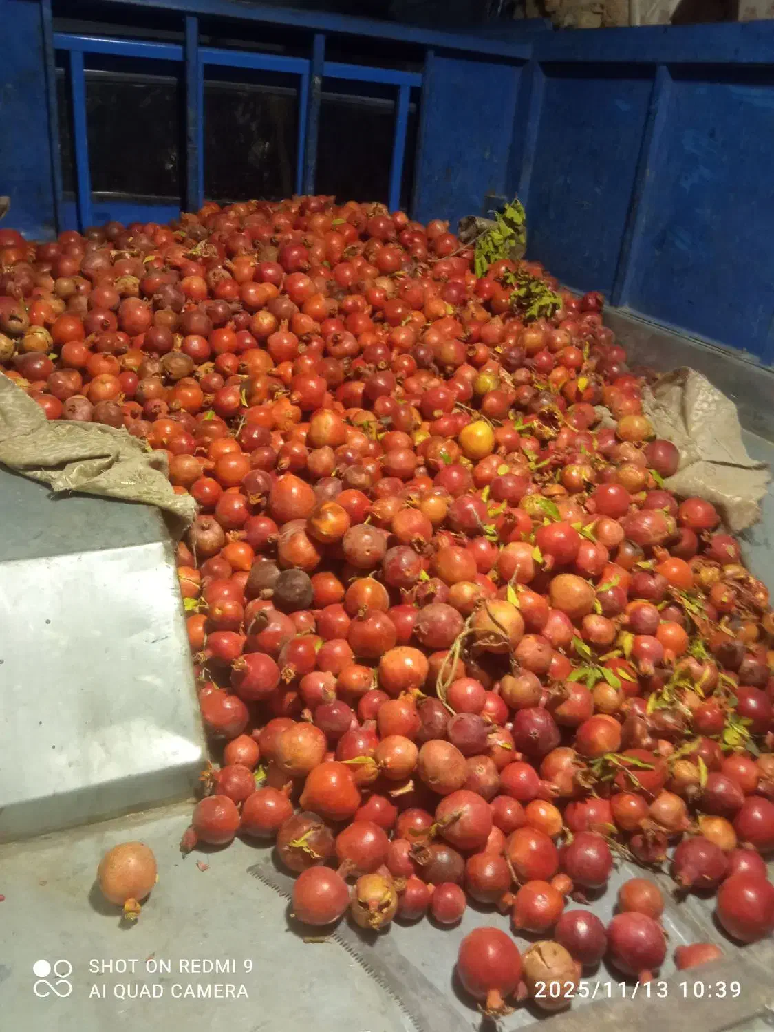 انار جاده ساوه هم خوراکی مجلسی وربی|عمدهفروشی|اسلامشهر, شهرک مصطفی خمینی|دیوار