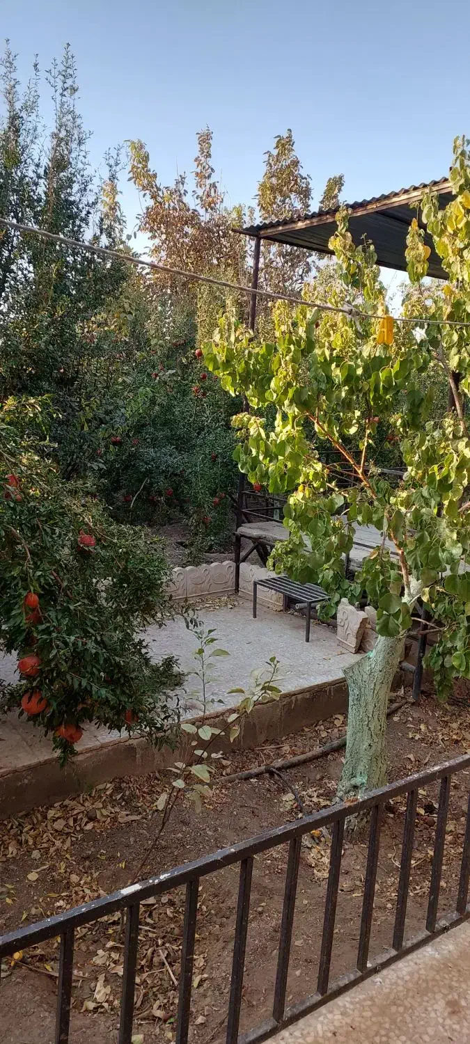 باغ ویلا|اجارهٔ کوتاهمدت ویلا و باغ|رشت, کوی غلام نیا|دیوار