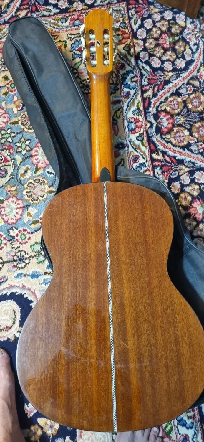 گیتار بست فان|گیتار، بیس، امپلیفایر|کرمان, |دیوار