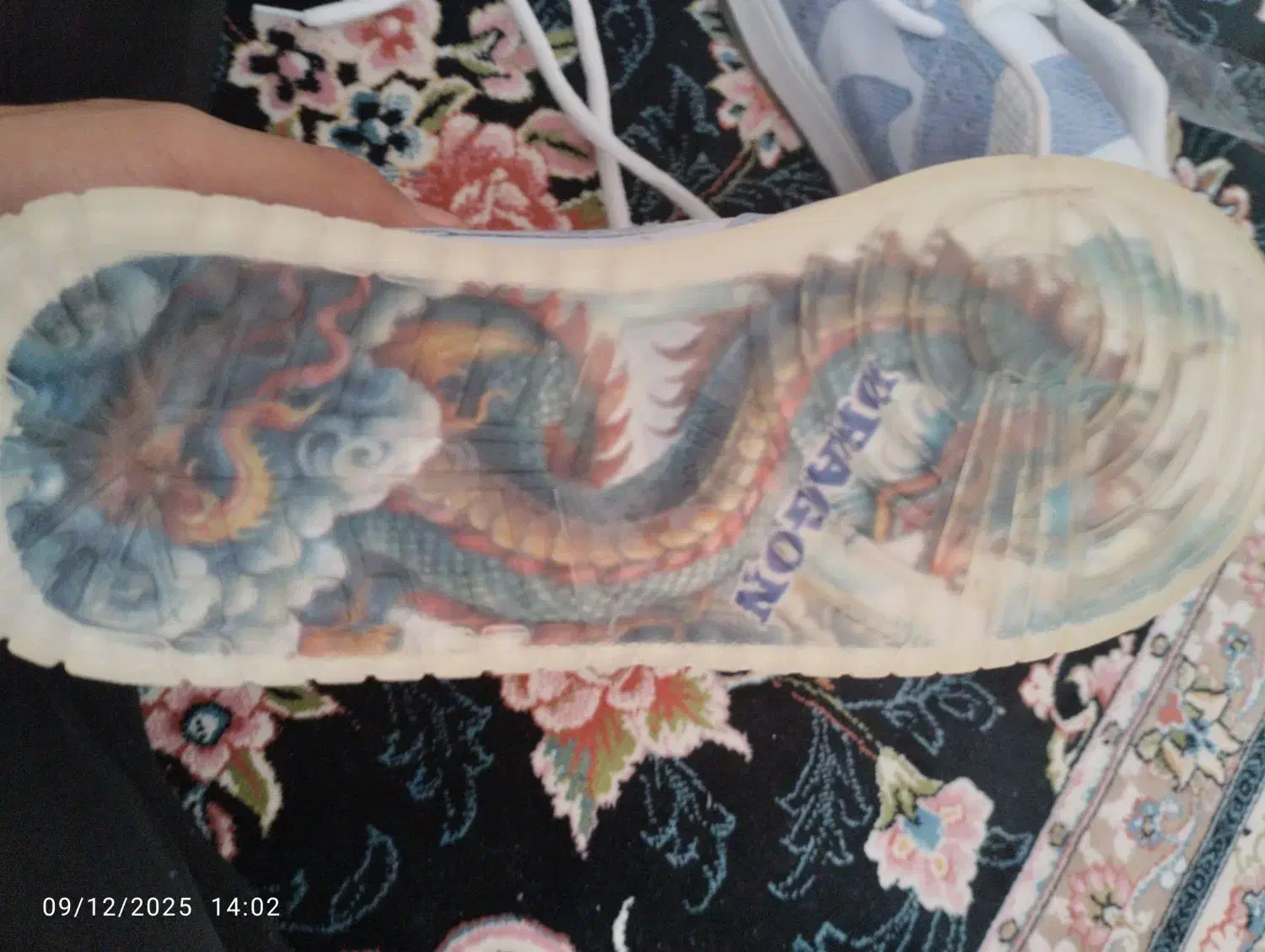 کفش دراگون ارزان|کیف، کفش، کمربند|تایباد, |دیوار