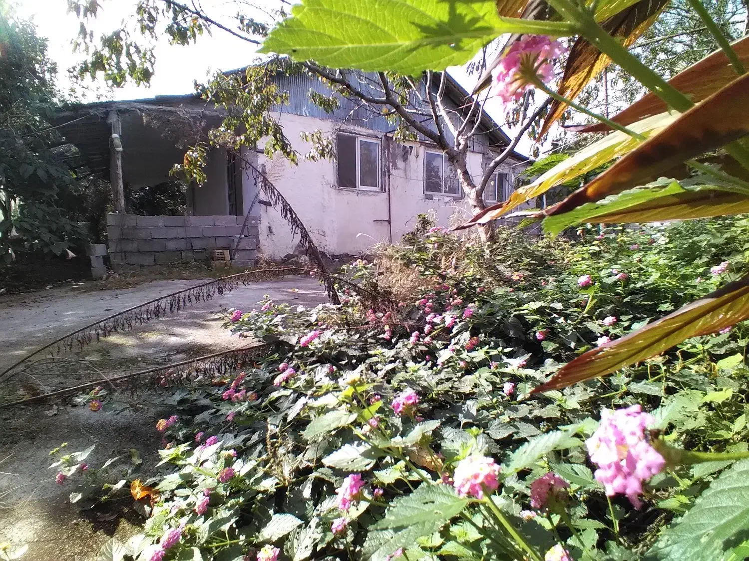 زمین ۴۳۰متری با خانه ۷۰متری|فروش زمین و ملک کلنگی|رضوانشهر, |دیوار