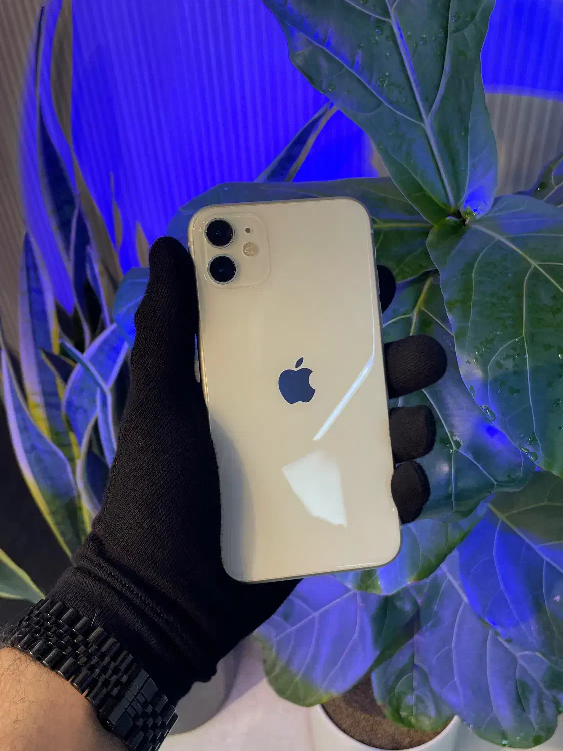 آیفون 11 پک اصلی Zaa|موبایل|رشت, چله خانه|دیوار