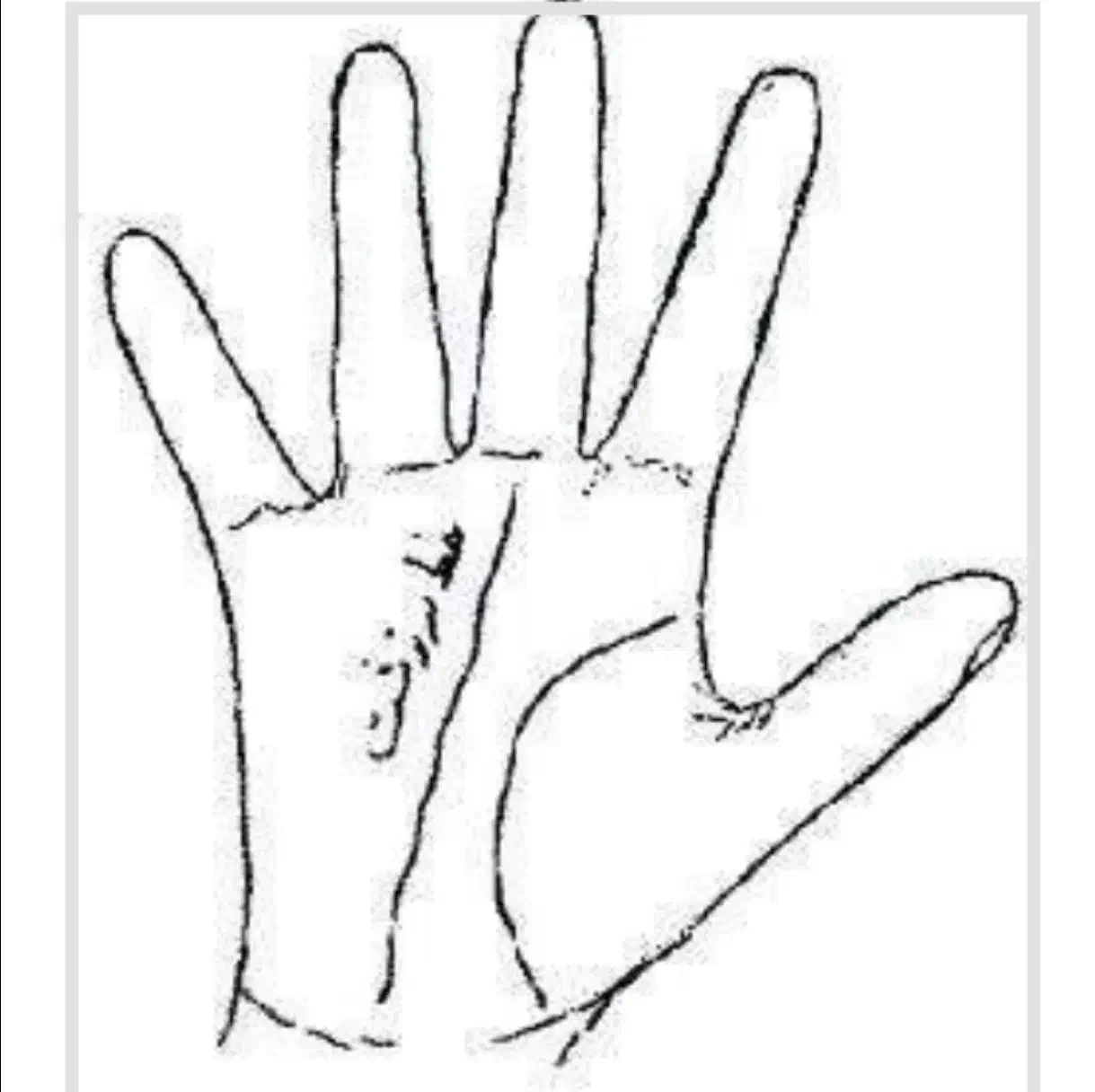 استخاره با قرآن|خدمات پذیرایی، مراسم|یزد, |دیوار