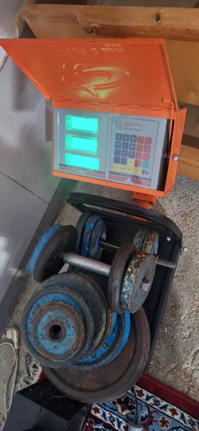 وزنه و دمبل و هالتر|تجهیزات ورزشی|صحنه, |دیوار