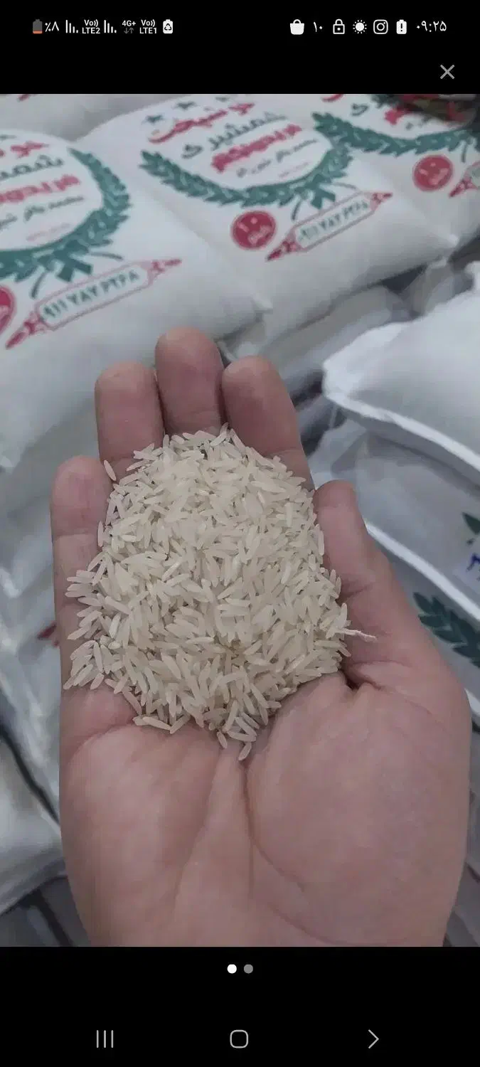 برنج طاره هاشمی کشت ۲ و ۱ و سرلاشه|خوردنی و آشامیدنی|یزد, |دیوار