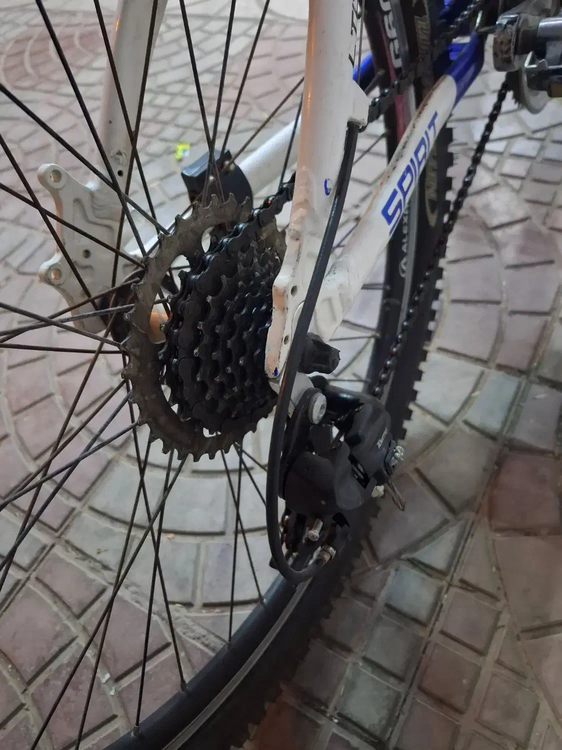 دوچرخه ۲۶ ویوا|دوچرخه، اسکیت، اسکوتر|بهبهان, |دیوار