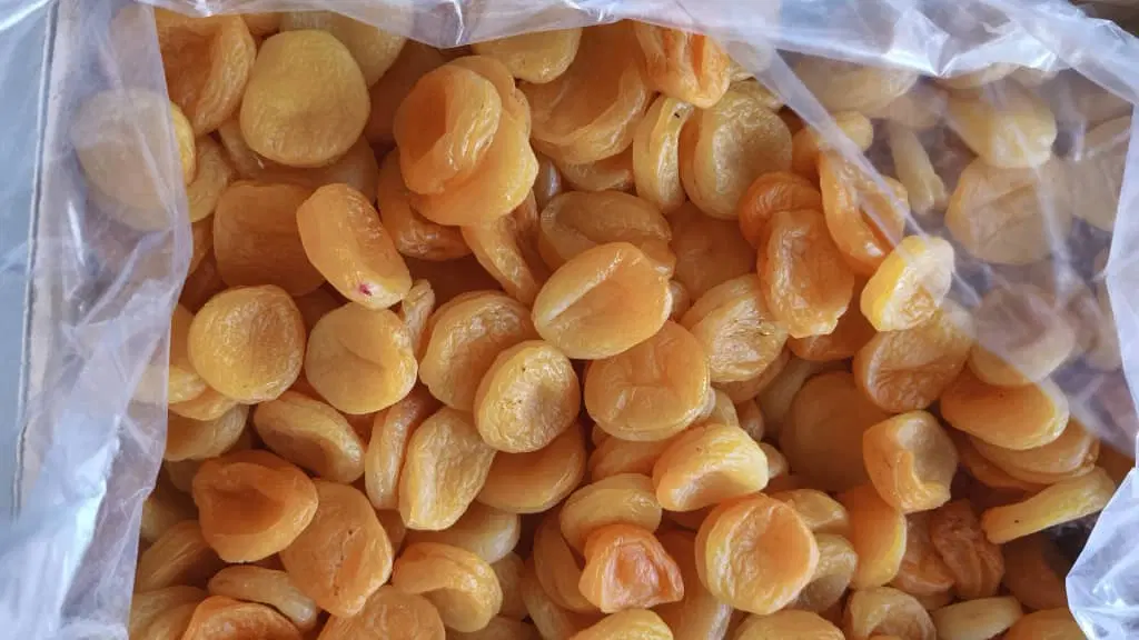 خانه قیسی و برگه زردآلو|خوردنی و آشامیدنی|تهران, باغ فیض|دیوار