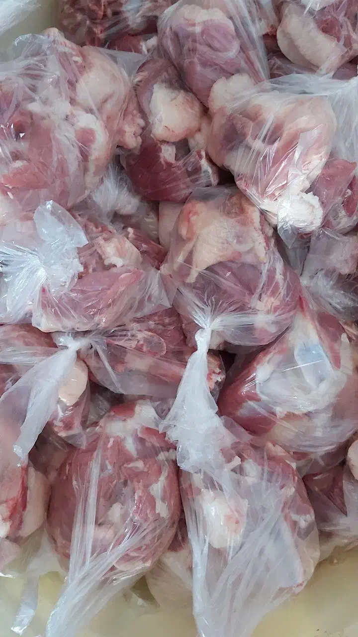 ذبح سلاخ سلاخی قصاب قربانی گوسفند۵۰۰تومن|خدمات پذیرایی، مراسم|زنجان, |دیوار