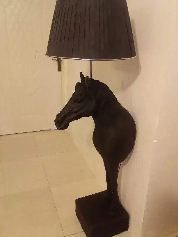 اسب آباژور|چراغ خواب و آباژور|پاکدشت, پاکدشت (مامازند)|دیوار