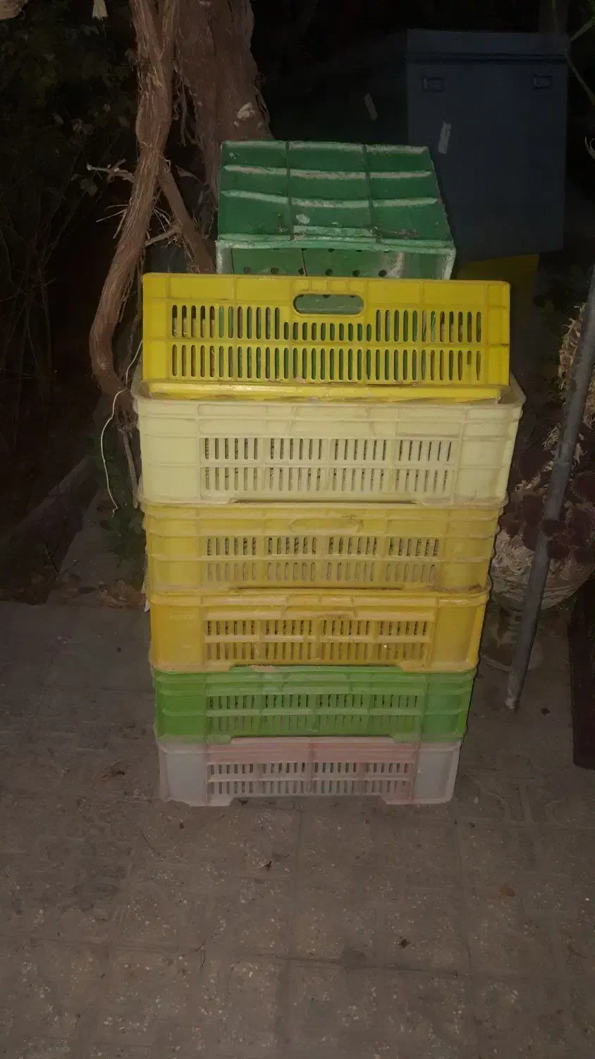 فروش سبد پلاستیکی محکم|ظروف نگهدارنده، پلاستیکی، یک‌بارمصرف|مهریز, |دیوار