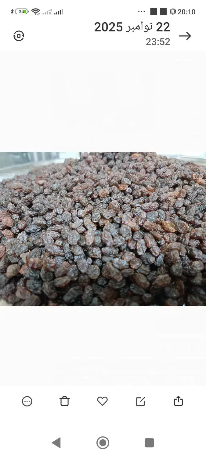 کشمش آفتابی|خوردنی و آشامیدنی|بناب, |دیوار