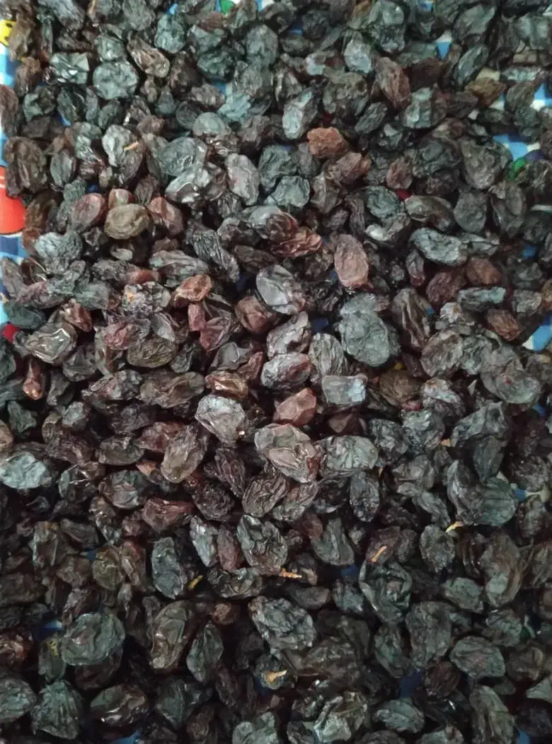 کشمش گوشتی و کاملا بهداشتی|خوردنی و آشامیدنی|ایوان, |دیوار