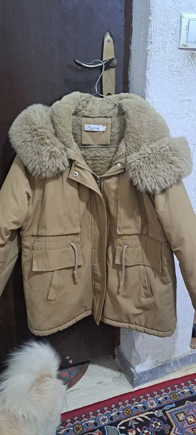 کت با تخفیف|لباس|یاسوج, |دیوار