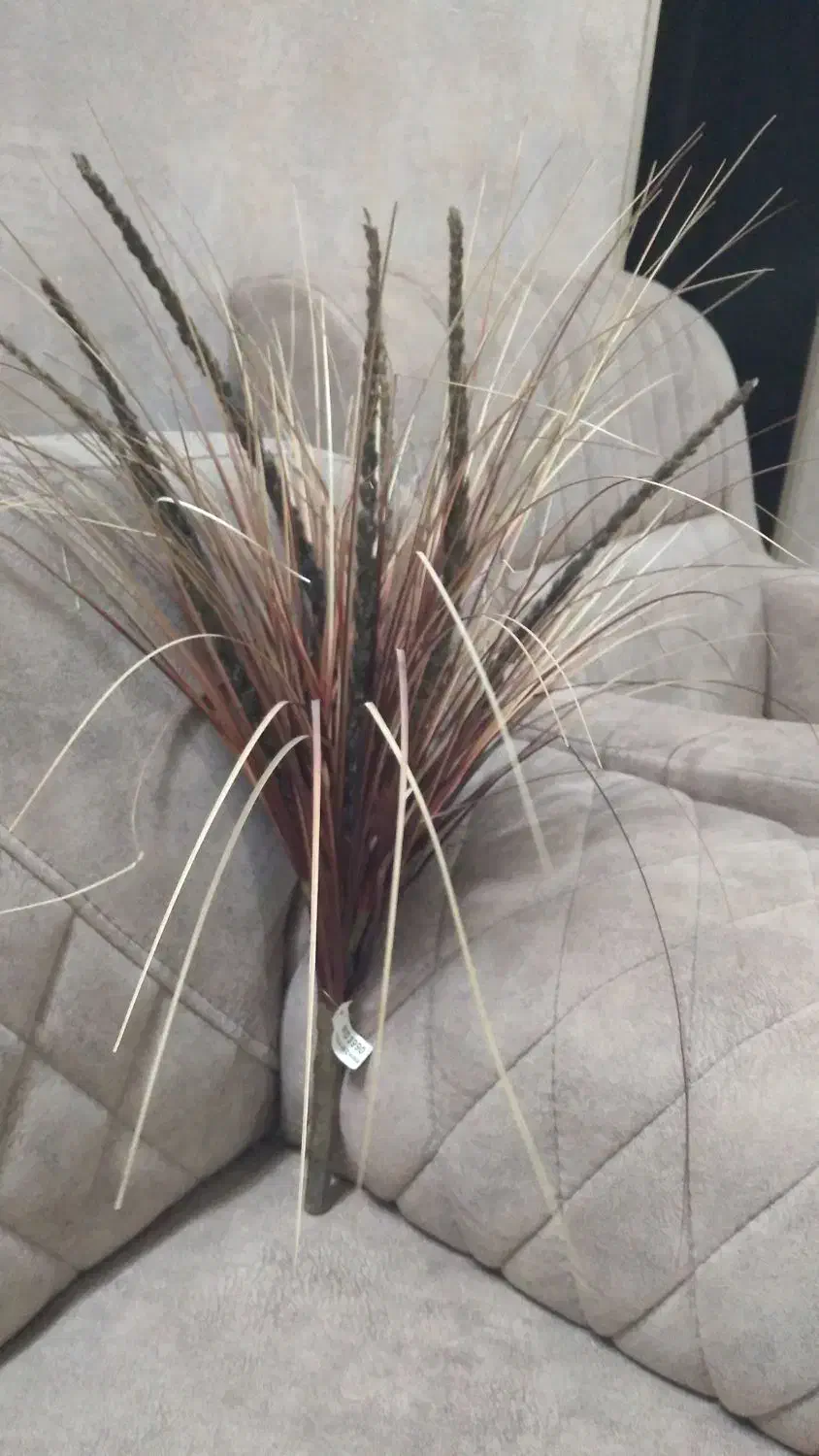 گلدان دکوری|گل و گیاه طبیعی|مشهد, میعاد (شهرک غرب)|دیوار