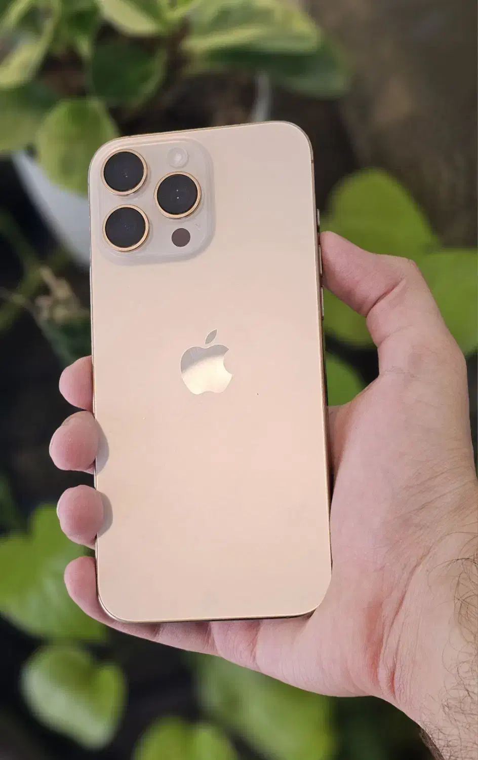 ایفون اپل iphone 16 pro max Zaa|موبایل|اهواز, زیتون کارمندی|دیوار