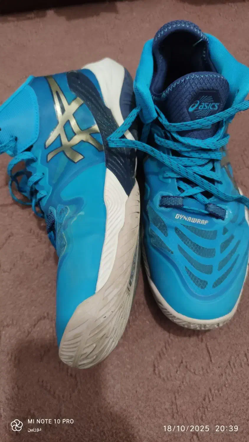 کفش والیبال آسیکس|کیف، کفش، کمربند|کردکوی, |دیوار