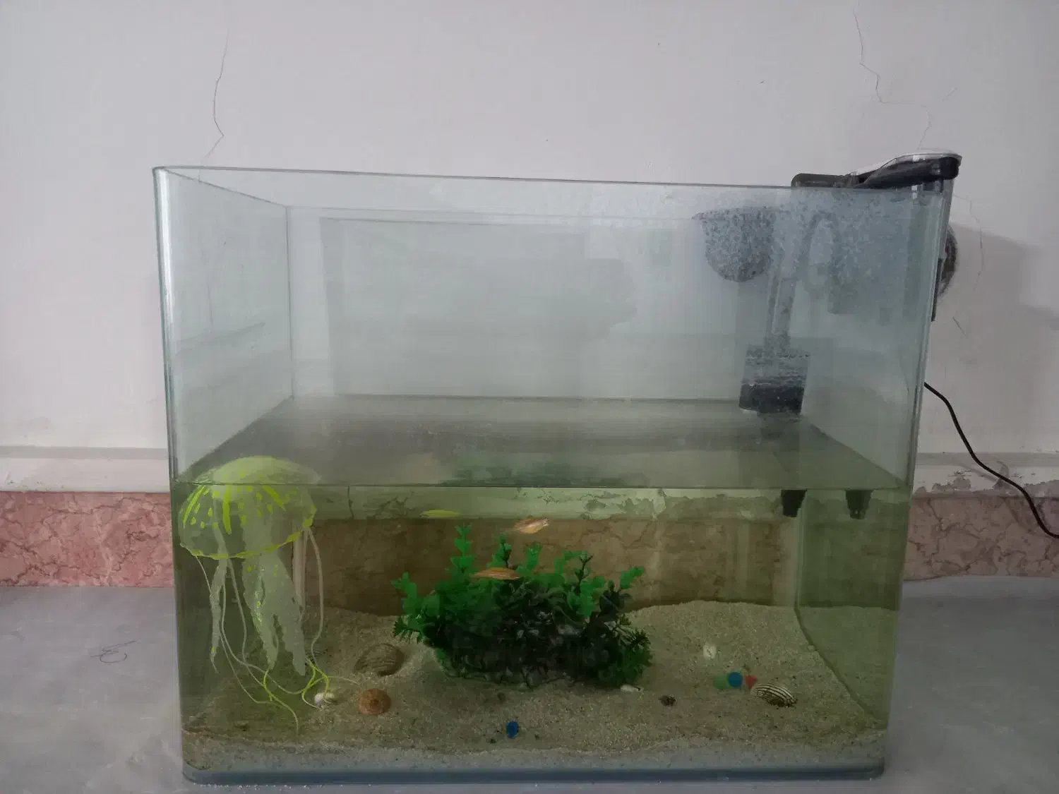 آکواریوم شیشه خم|ماهی|مشهد, کوی سیدی|دیوار