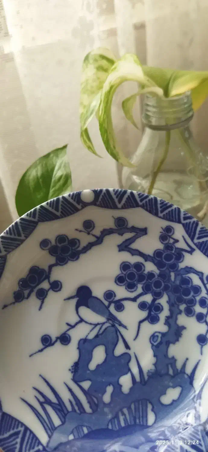 نلبکی گل ابی|ظروف سرو و پذیرایی|لاهیجان, خمیر کلایه|دیوار