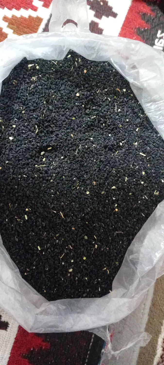 سیاه دونه|عمدهفروشی|سپیدار, |دیوار