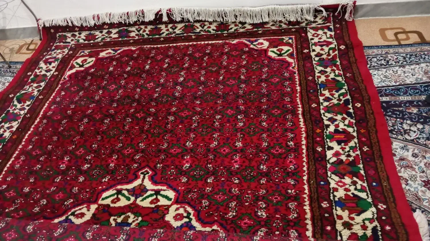 فرش ازندریان،،|فرش|بهار, |دیوار