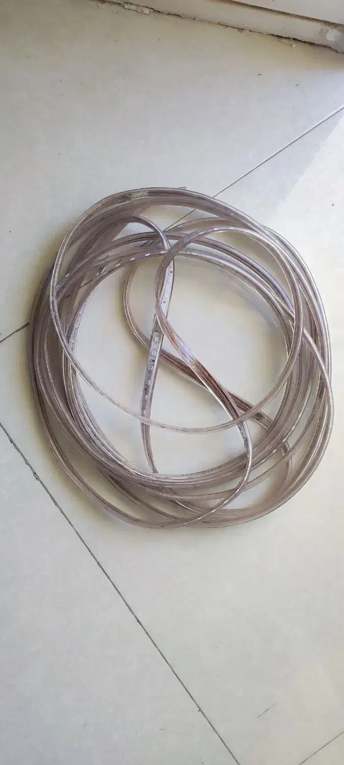 شیلنگ نوری|ریسه و چراغ تزئینی|کرمان, |دیوار