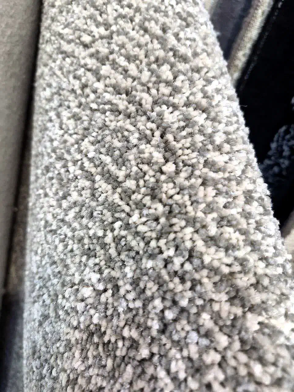 پالاز موکت پرزبلند مدل۲سانتی باران و سیدنی و الماس|موکت|قم, نیروگاه|دیوار