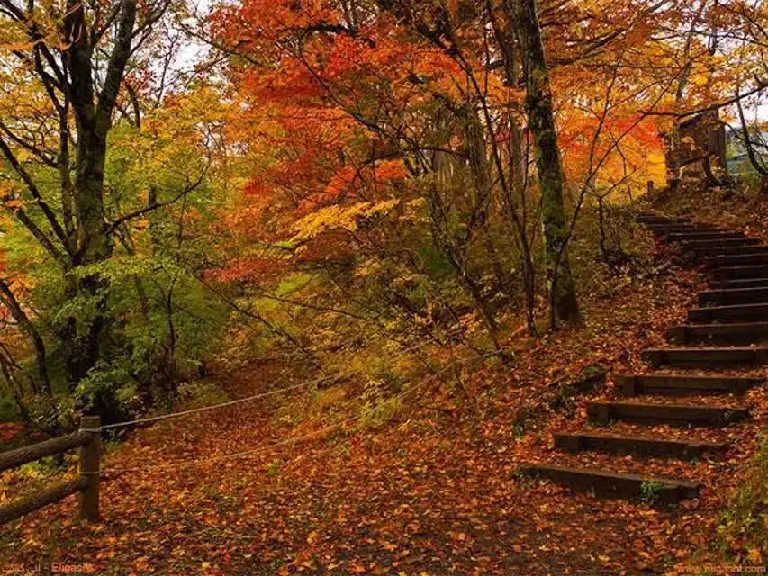 کمک مربی مهد|استخدام آموزشی|بیرجند, |دیوار