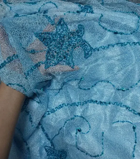 لباس مجلسی سنگ دوزی|لباس|شیراز, ابیوردی|دیوار